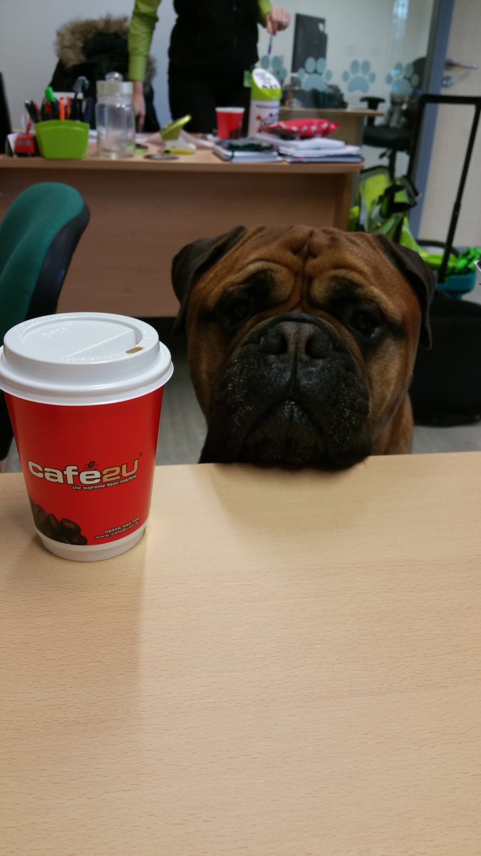 We're never alone in the office when we're enjoying our delicious morning drinks from @Cafe2uSolihull