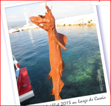 aquilinagerald's tweet photo. @Seasaver @Greenpeace @NatGeo do you like this fish polluted by #ALTEO mediteranean sea with #redmuds #cassis France https://t.co/7MOAf8XfVo