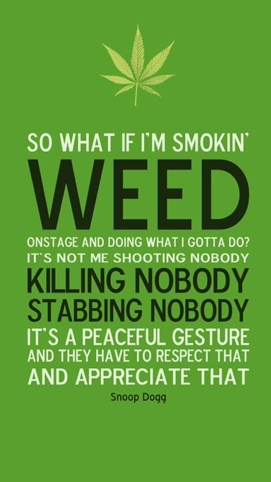 FreeMrWeed's tweet photo. #weedisharmless #truth https://t.co/yvqMOsAFhm