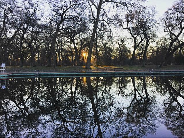 WeCareRoyalAire's tweet photo. We're in LOVE with this photo of #sycamorepool in #ChicoCA by #iger @sarahjester! ๐ https://t.co/HTfUnuUGwe