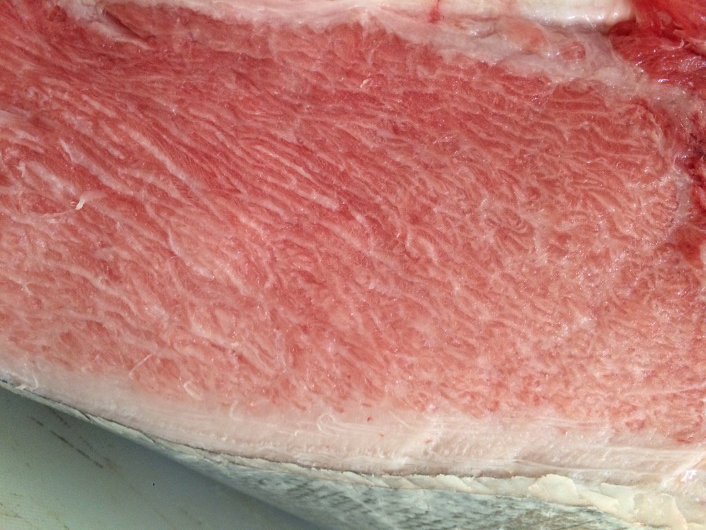 Chris_Kinjo's tweet photo. Beautiful Blue Fin Otoro https://t.co/1gbTXWGgrh
