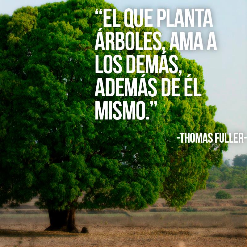 espacioverdepv's tweet photo. #FelizMartes https://t.co/UPvkYSmtDl