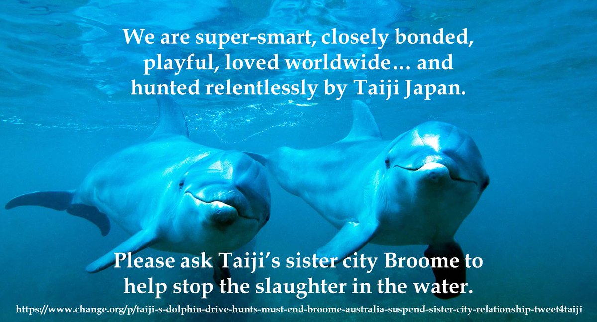 MissyMika's tweet photo. Please sign for #dolphins - #Broome to condemn sister #Taiji hunts! https://t.co/FPFMcoQVsV #Tokyo2020 #tweet4taiji https://t.co/mBeKIN0nWV