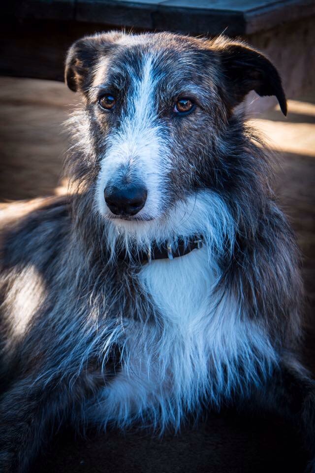 RichardLaslett's tweet photo. My best friend. https://t.co/Wak9iwLkwA