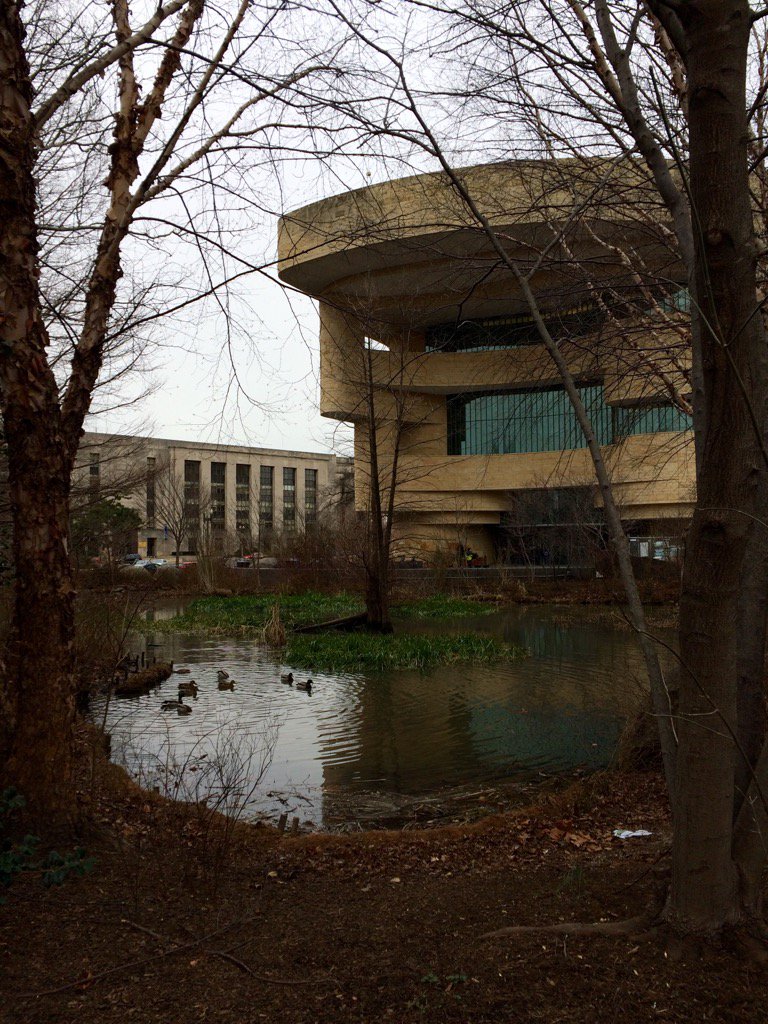 DreadyUSCG's tweet image. Lunch at National Museum of the American Indian today. Best bison burger in town! #mostlyvegetarian