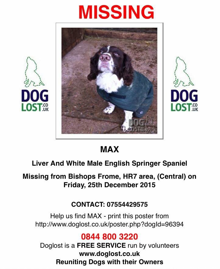 quidney's tweet photo. #letsgetmaxhome https://t.co/w6mawsWNSq