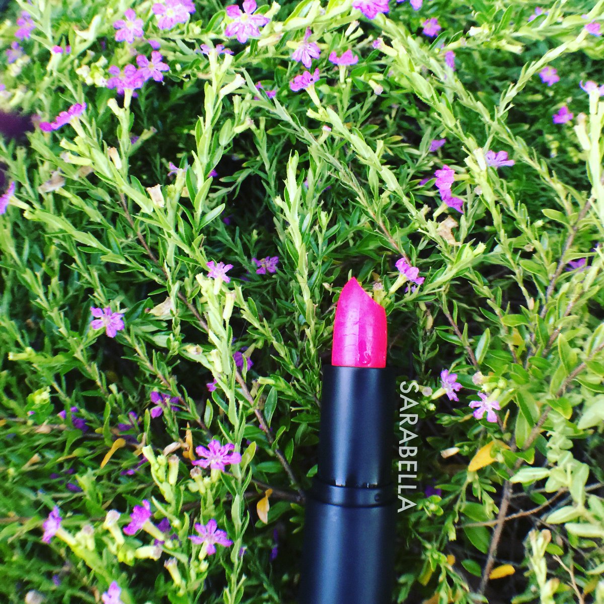 LoveSarabella's tweet image. Brighten your January “Waking Up In Vegas” shop this color now sarabellacosmetics.com #lipsticklove