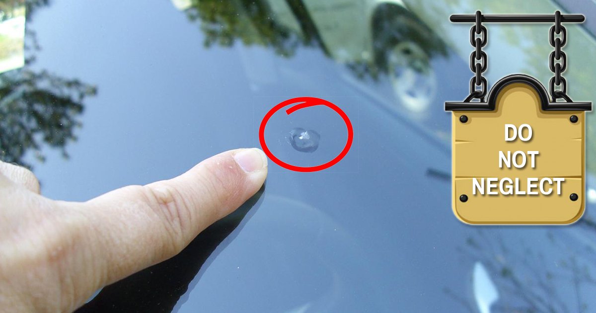 AlphaDistrib's tweet image. Don't neglect that tiny little crack in your #windshield! #Schedule a #service at Alpha Distributors today.