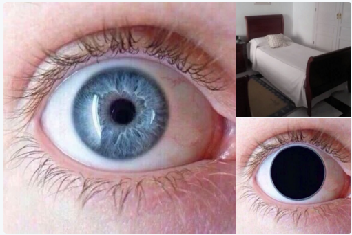 MejoresTwits's tweet photo. Dicen que la pupila de tu ojo se expande un 45% cuando ves a la persona que amas https://t.co/lIIcwMwRD8