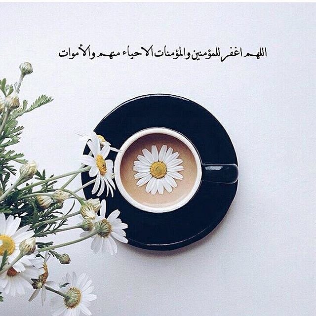 fofo07007's tweet photo. #ومضة_حرف https://t.co/uqu9QIm6nh