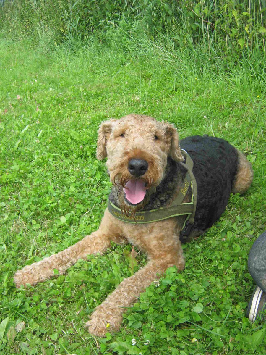 Berti_and_Ernie's tweet image. ....