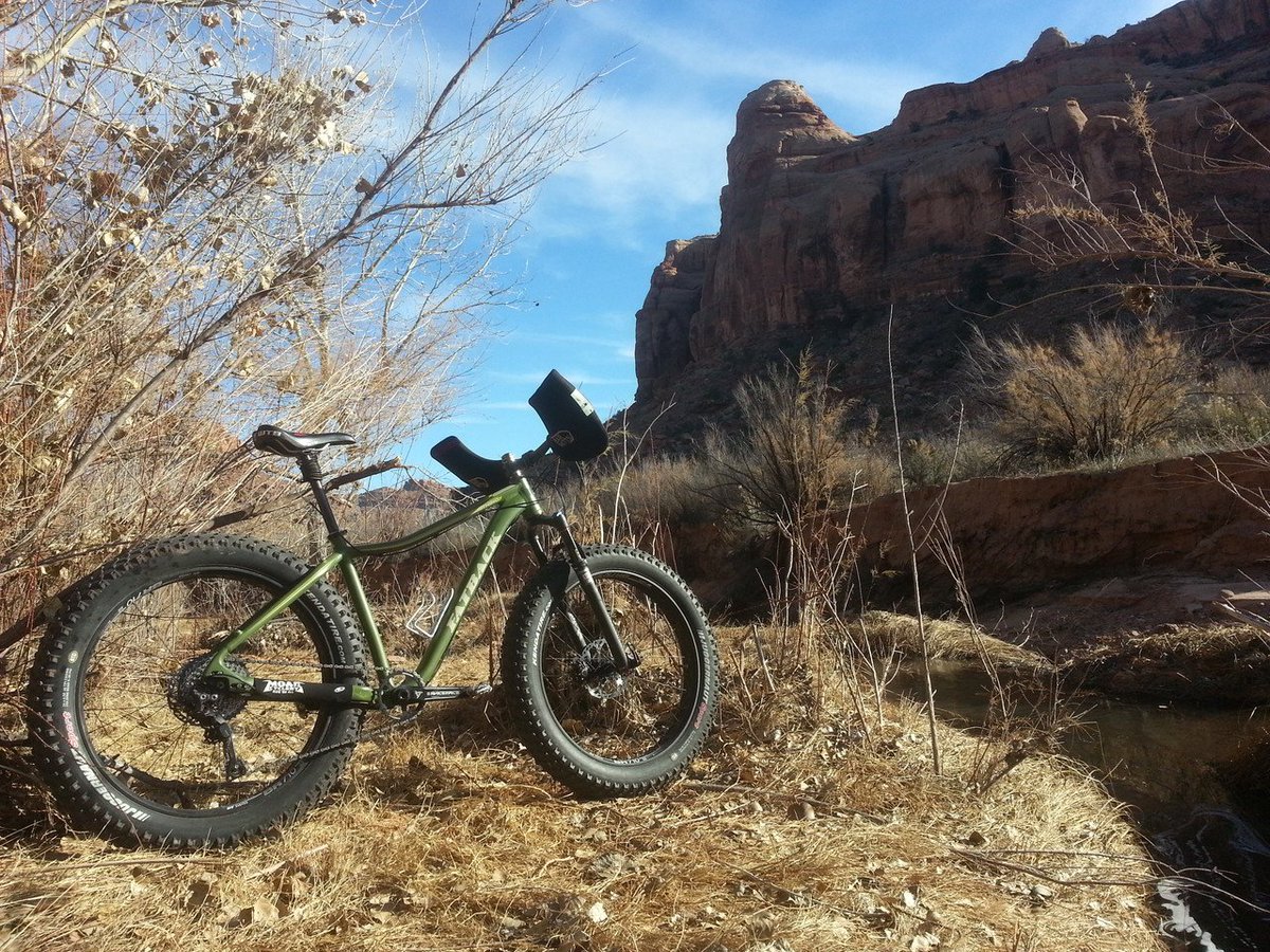 fatback rhino review
