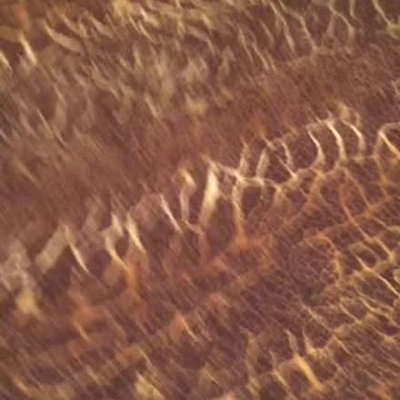 818team's tweet image. |REPLAY| Follow @spikeonthewater for the #cashbackSolutions event #katch #Periscope ktch.tv/5_DB