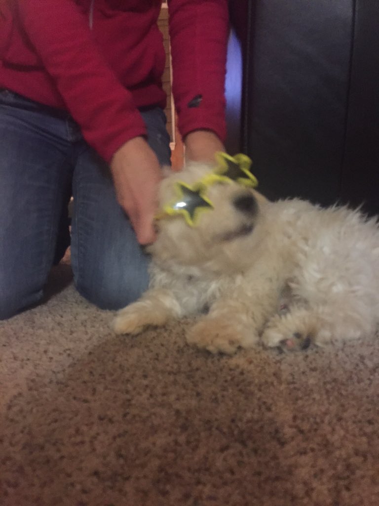 FinneganDeasy's tweet photo. not only do they neglect to feed me, but they try playing dress up with me! #whitepeople #pleasenopaparazzi https://t.co/cQI7QI1ud1
