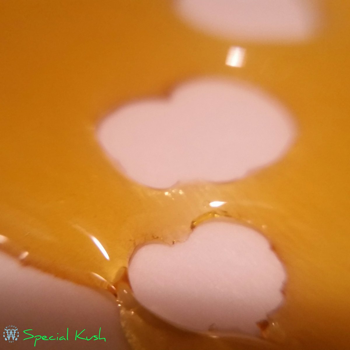 WizardWax's tweet photo. 🌎 Get the #BEST of both worlds with #Special #Kush #LiveResin- 50/50% #HYBRID. THC: 77.03% CBD: 0.13%
 #THC #CBD #OR https://t.co/N7irSJ3BRL