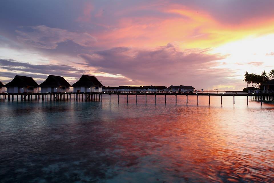 Embedded image permalink