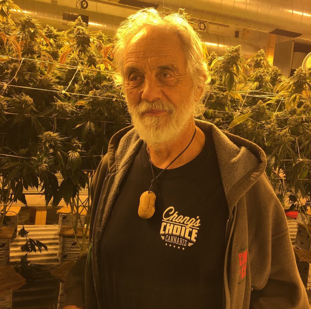 tommychong's tweet photo. This New Years my resolution is to smoke everyone out and spread peace.   Coming soon. https://t.co/JxQVrpjbxN