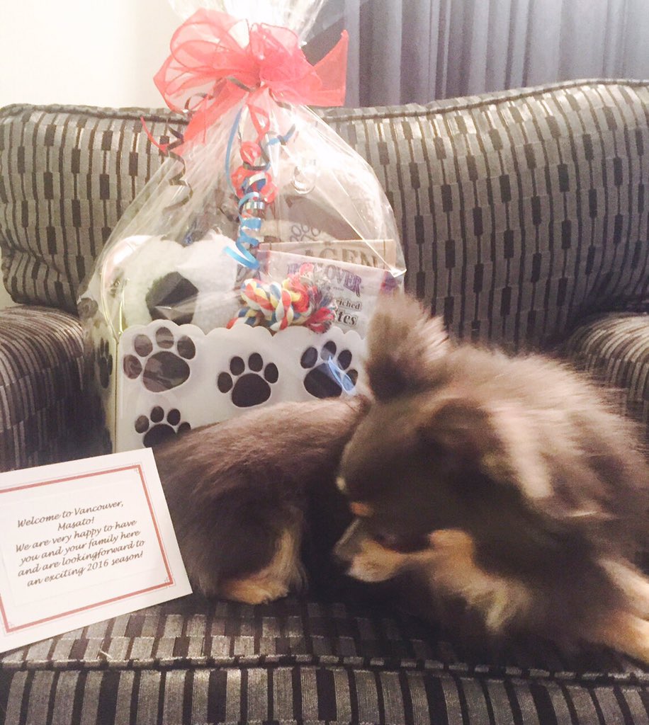 masatokudo9's tweet photo. Thank you for the heartwarming gifts @WhitecapsFC !! https://t.co/1io4a4ARsT