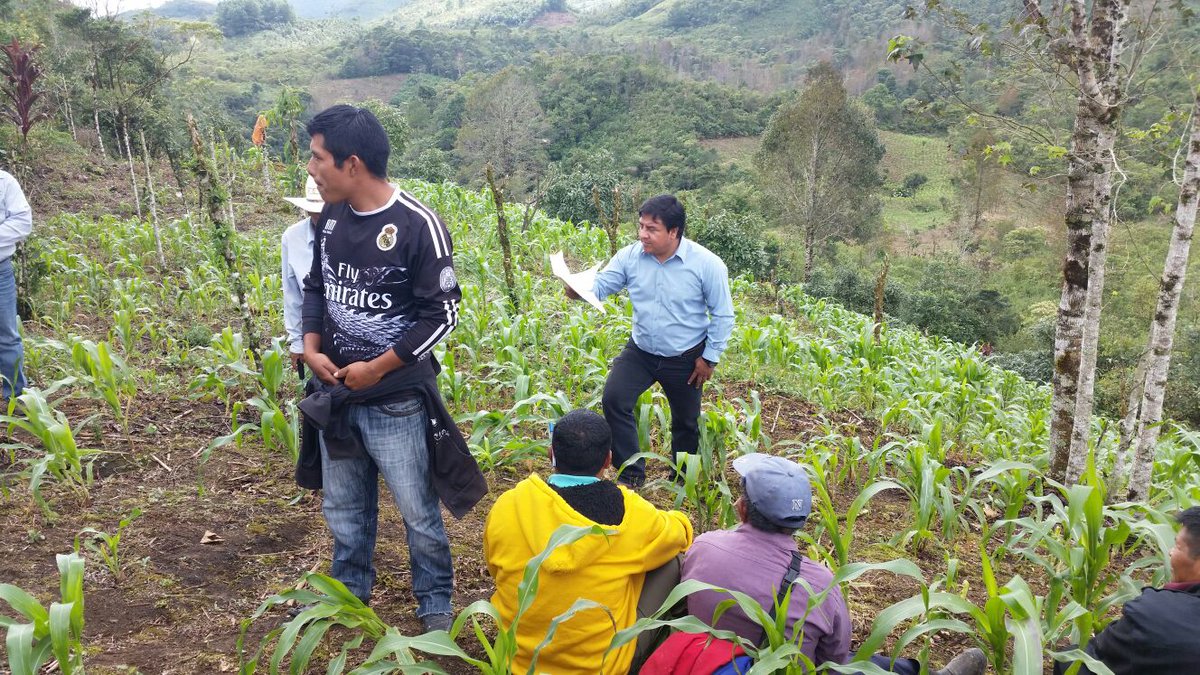 incarural's tweet photo. En #Chiapas tuvo lugar una 2da. visita de evaluación a organización #PIIEX 2015 #INCAEnTodoMx @SAGARPA_mx @linosma https://t.co/CTskg2NP6B