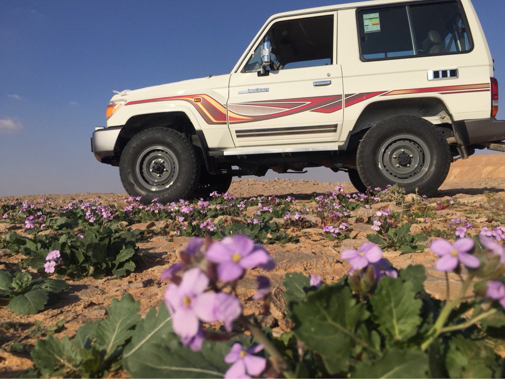 فايز الشراري (@aac06234334abts) on Twitter photo 