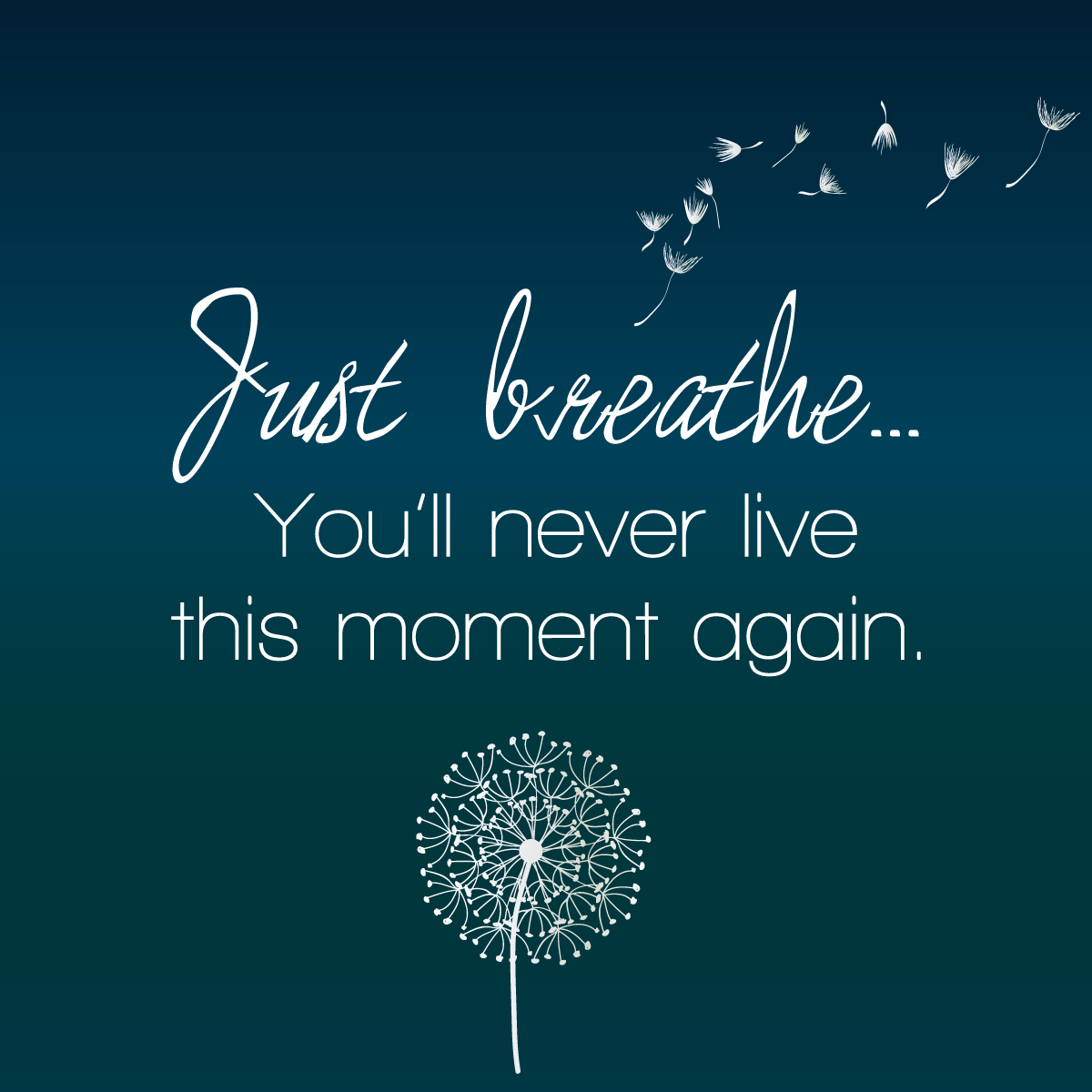 Essentialgood's tweet photo. Live every moment to the fullest because tomorrow is never a guarantee. #love #life 

Life is Essential https://t.co/e0SJTHM3n8