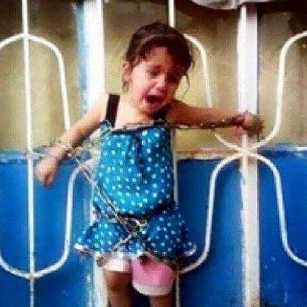 محمد الربع tweet media