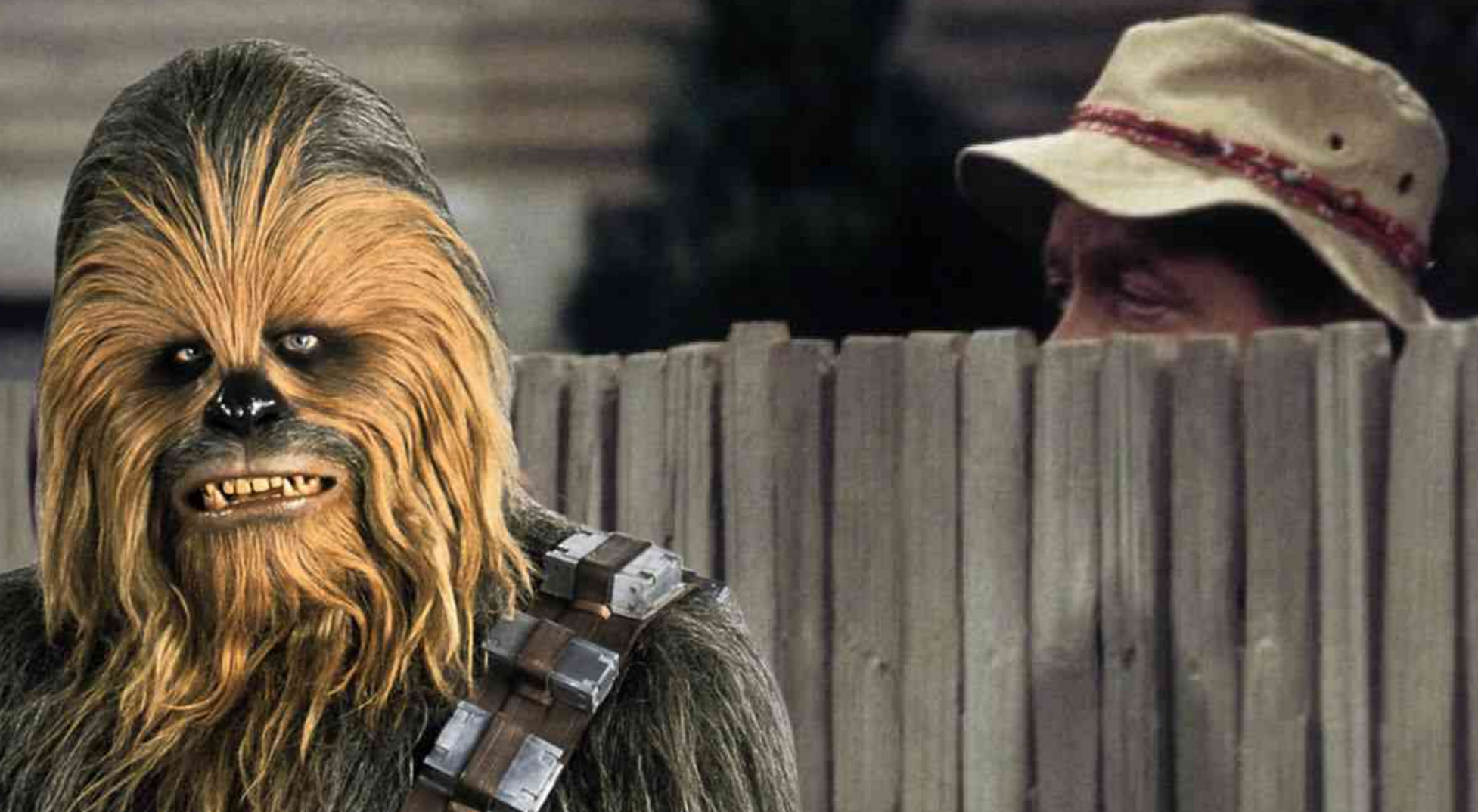Funny Or Die on Twitter: "'Chewbacca Tim Allen' Is All The Internet You'll  Need In 2016 https://t.co/bbwVpfQ8Xj https://t.co/NtnqnLSwMV" / Twitter