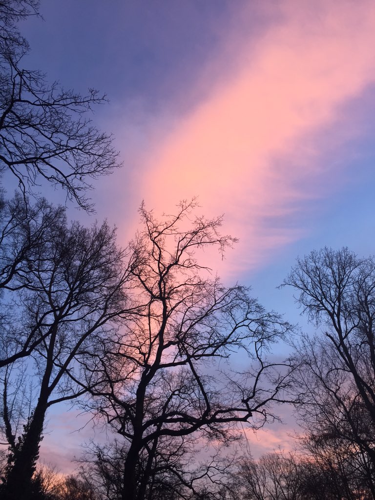 Vondelpark vanmorgen om 8.45 uur☀️👍💚 #detuinvrouwen #amsterdam #zon #goedbeginvandedag