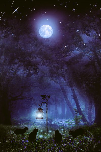 yourtea's tweet image. @DeltaGoodrem @CatsMusical come on now, it&apos;s only the moon that possibly loses her &apos;memory&apos; 🌚🌝
#PAWful pun 😹