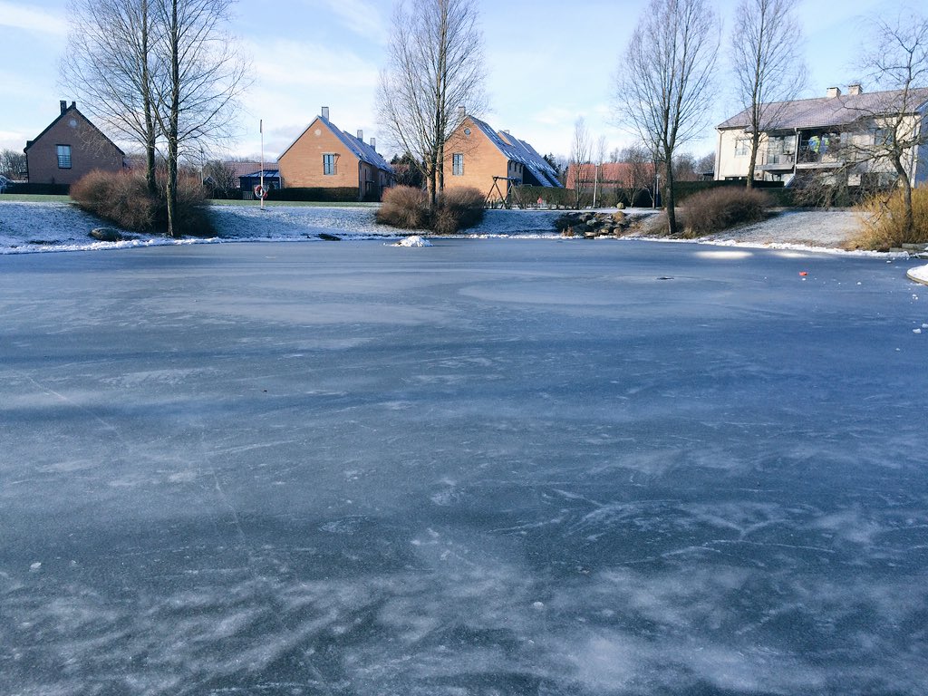 hbgpondhockey 🌻 🏒🌭🍺 tweet media