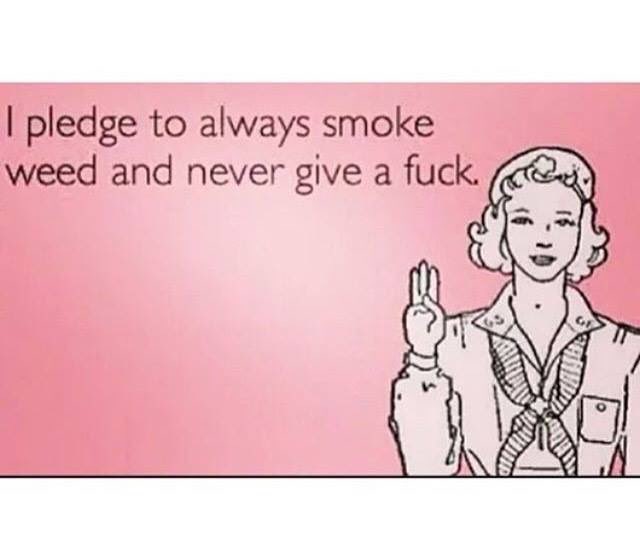 STONERClTY's tweet image. 