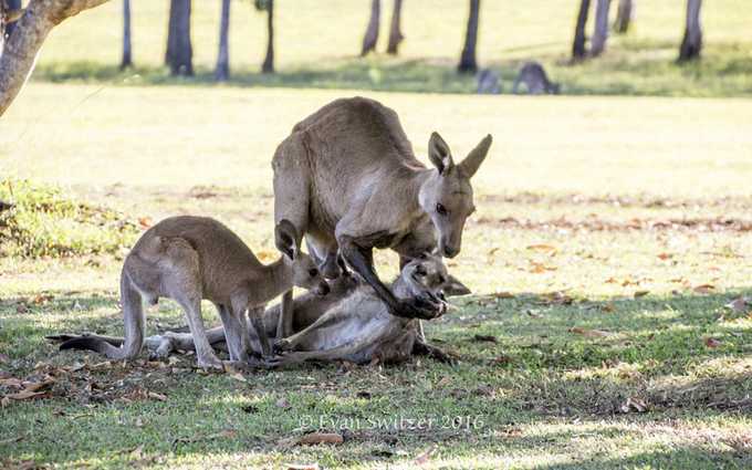 View image on Twitter