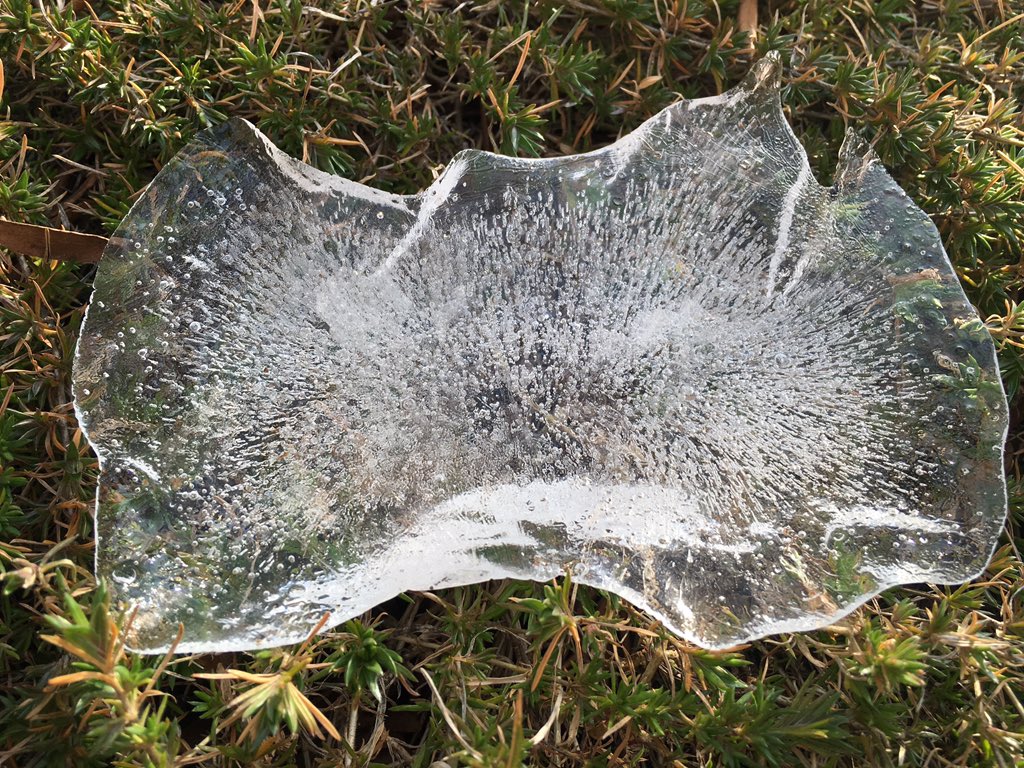 otterX's tweet image. Nature creates splendid #frozenArt.