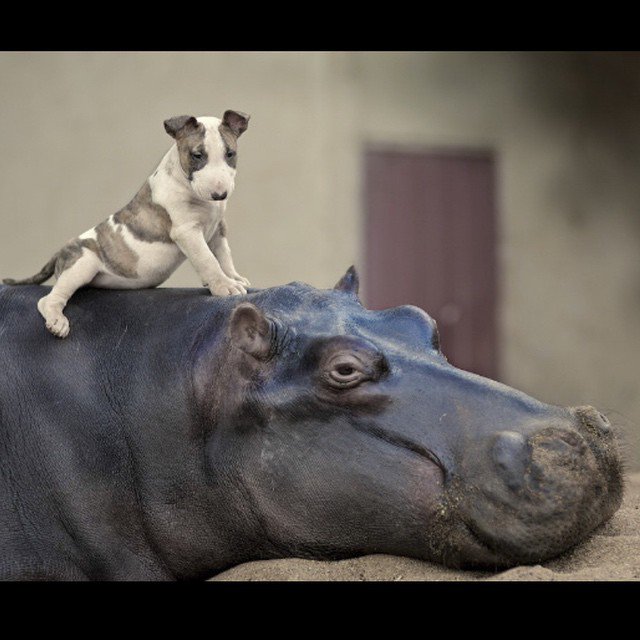 Epic shot by <a href="/AdrianSteirn/">Adrian Steirn</a>  at Kruger National Park #Africa
