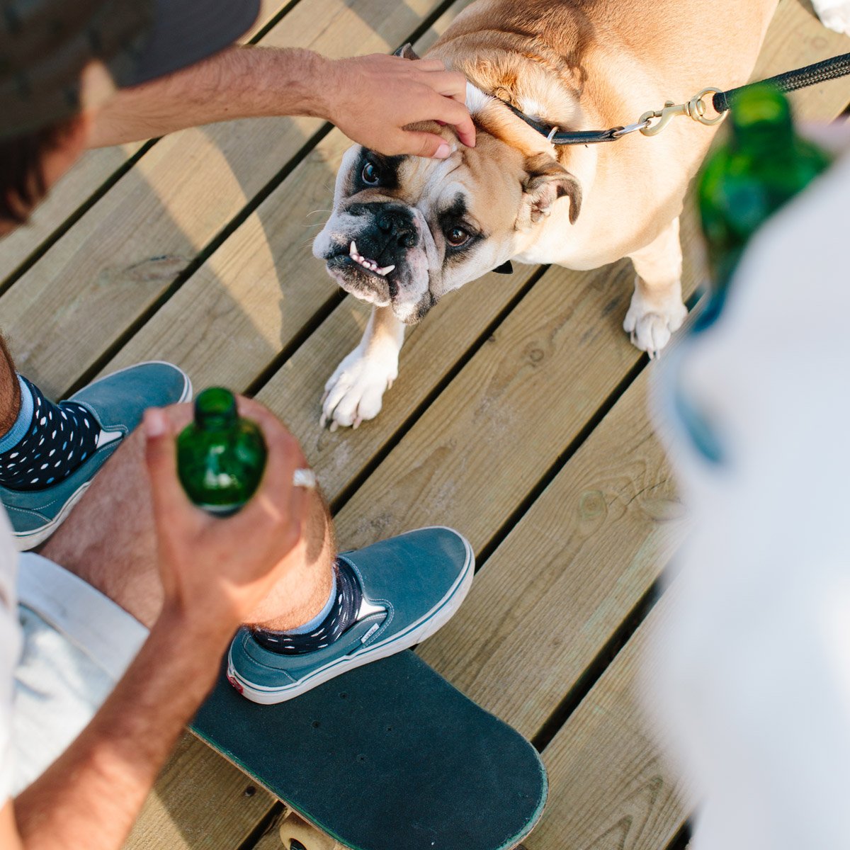 Majestic Bulldog trying to score some beer.
#AlfredoGonzales #beer #bulldog #sockgame #skateboard #skate #dog