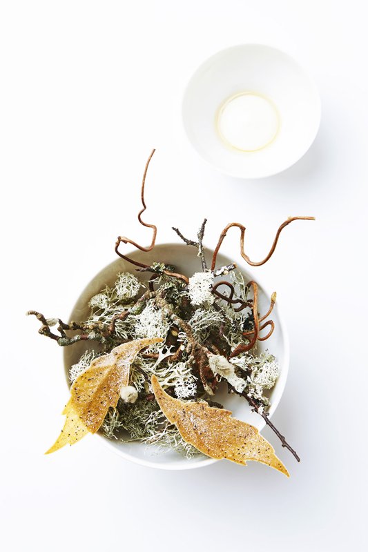 Gastchef Rasmus Kofoed van @Geranium_CPH deelt deze prachtige compositie met ons: bit.ly/1RjGZ8j