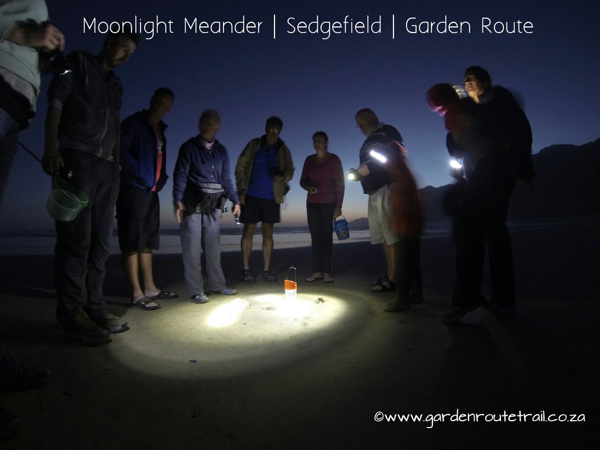 VisitSedgefield tweet media