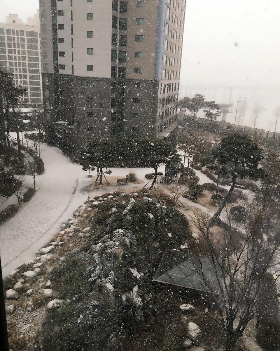 MJoonho's tweet photo. 눈은다 https://t.co/MBGZF1l40u