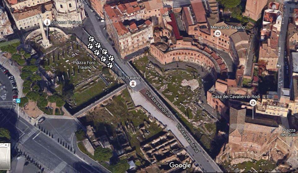 Gabbiano3_0's tweet photo. Avvistata #gatta girovaga per iL #ForoDiTraiano! #RomaAntica @MiC3_0 @museiincomune https://t.co/PQBliZQD3U