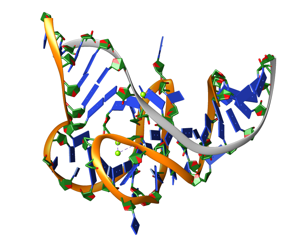PDBeurope tweet picture