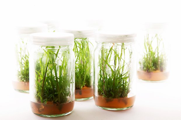 La Ville de <a href="/Paris/">Paris</a> lance « Smart Food Paris » pour favoriser l'émergence de startups food ow.ly/X05sA