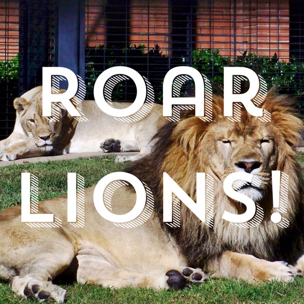 Good luck to all UNA students in Spring 2016! #myuna #roarlions
