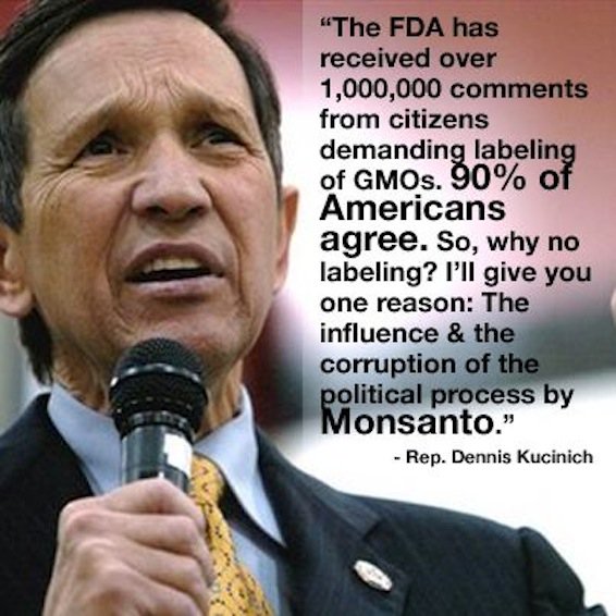 LetsLabelGMOs's tweet photo. Corruption kills.  Join the fight to label GMOs!  #LetsLabelGMOs https://t.co/Vsd5mxKSZ3