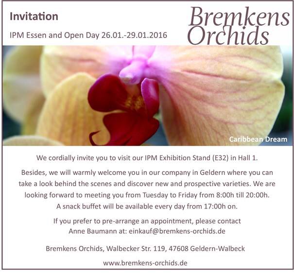 Christian Bremkens (@christianbremk) on Twitter photo 