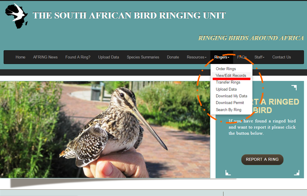 safring_adu's tweet photo. New Ringer Tool: You are now able to Edit your own ring records
https://t.co/gizu6ZsIav
#SAFRING #Birdringing https://t.co/aaZUXyuhwF