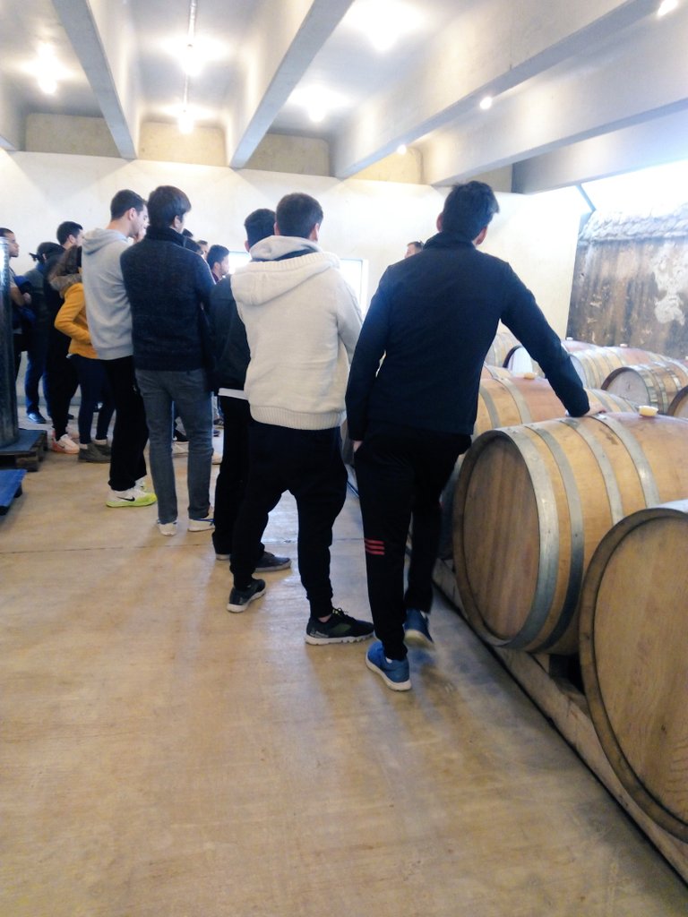 encarnatrainer's tweet photo. Gràcies per aquesta gran  visita a AMADIP. Ha estat molt agradable i interessant! #Discapacitats #TAFAD #AMADIP https://t.co/NE4f7RTPWH