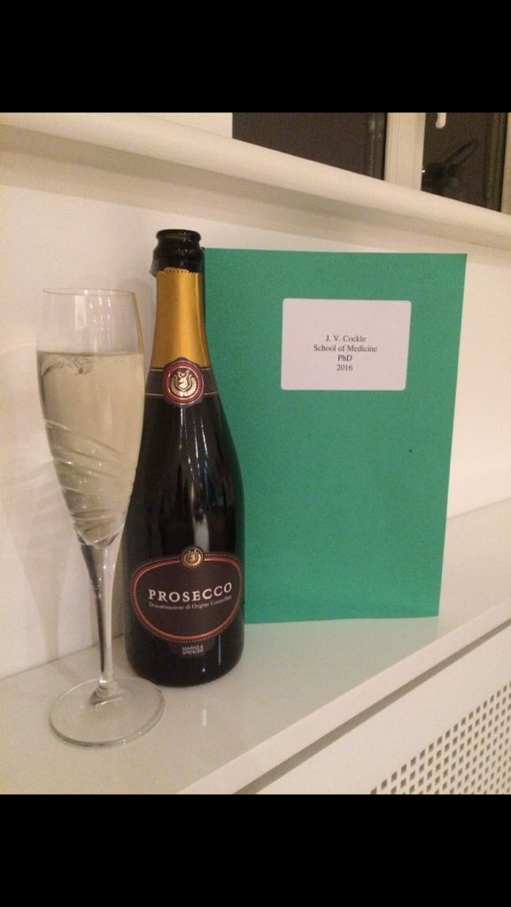 And it's submitted!!!! 248 pages.... 65 figures, 10 tables and 57,800 words.... PhD thesis.... Done!