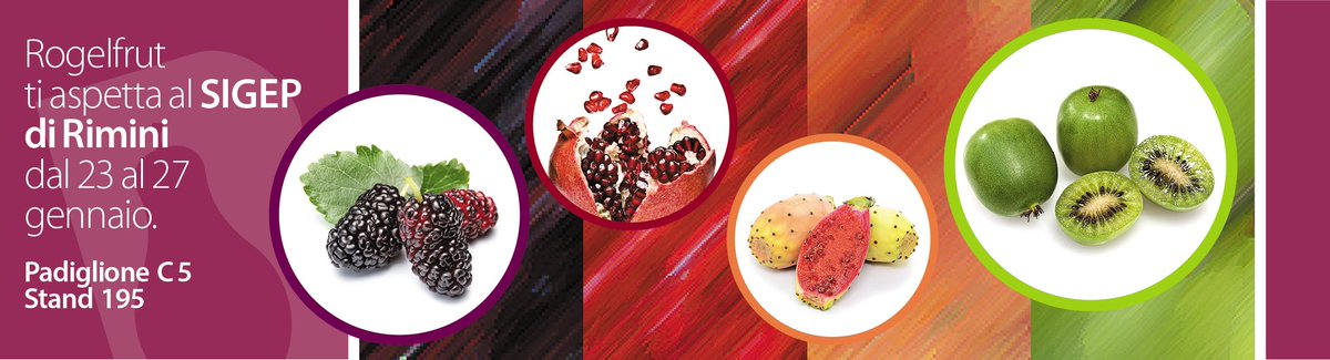 ROGELFRUT tweet media