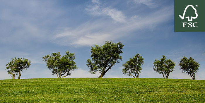 FSC_IC's tweet image. For your #2016resolution, why not plant a few trees? It's easier and cheaper than you might think.