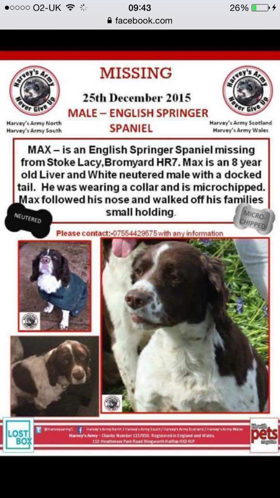 <a href="/EastnorCastle/">Eastnor Castle</a> Please RT to raise awareness of local Dog Max, missing Christmas Day.